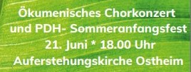 Mehr über den Artikel erfahren Endlich Sommer! Wir laden Sie ein